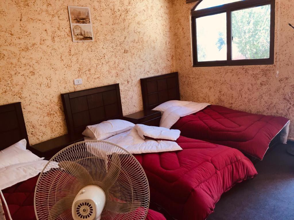 Guest House Attallah Вади Муса Экстерьер фото
